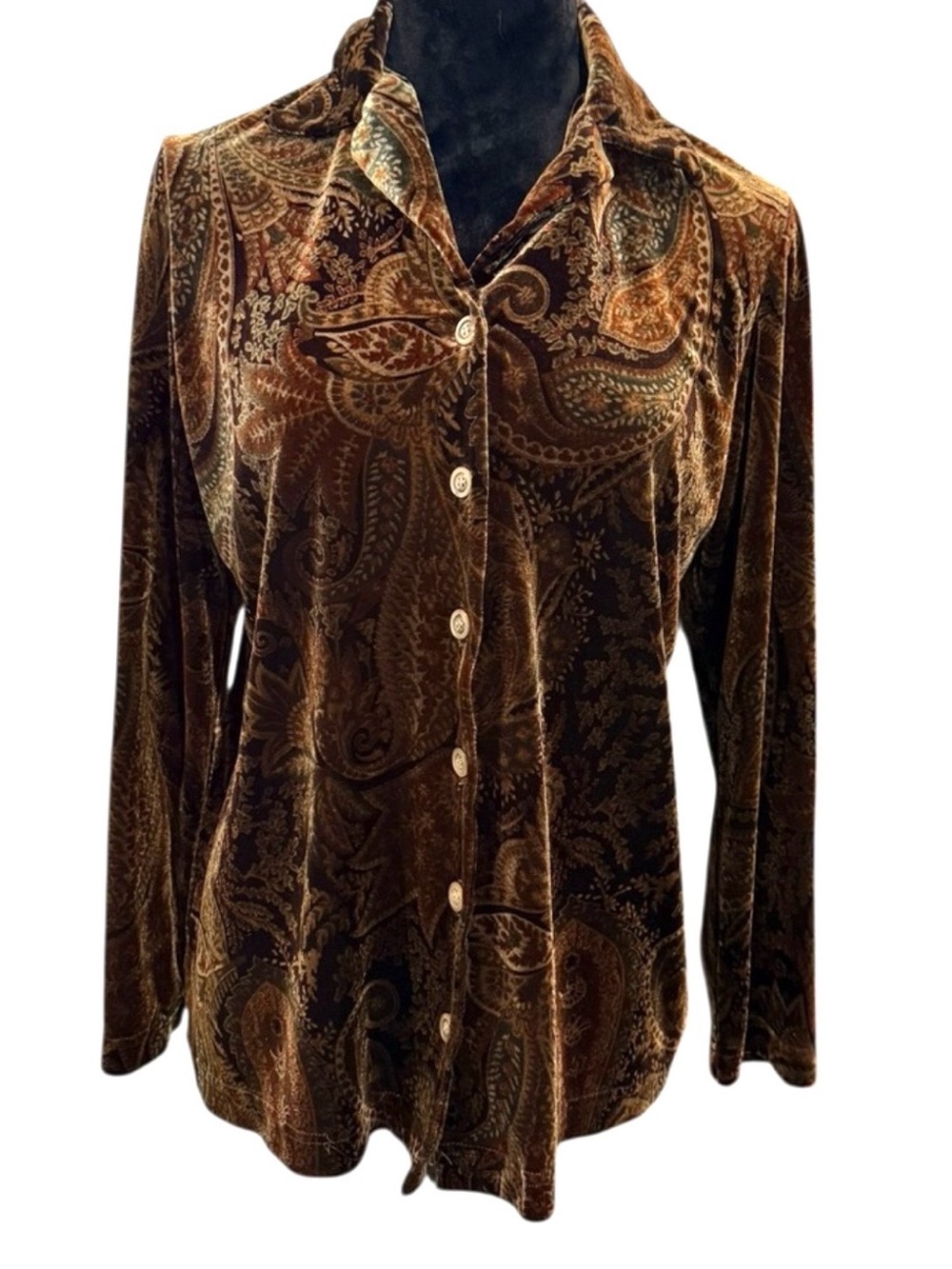 Coldwater Creek Brown Velvet Paisley Button-Down Shirt